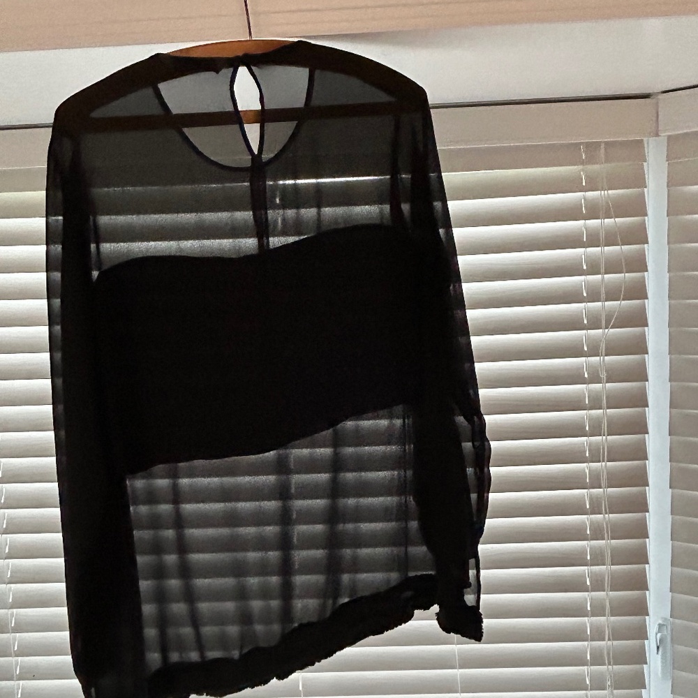Zara Woman Sheer Long Sleeve Blouse Black Elegant